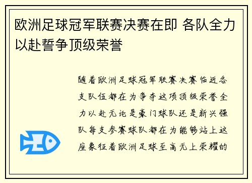 欧洲足球冠军联赛决赛在即 各队全力以赴誓争顶级荣誉