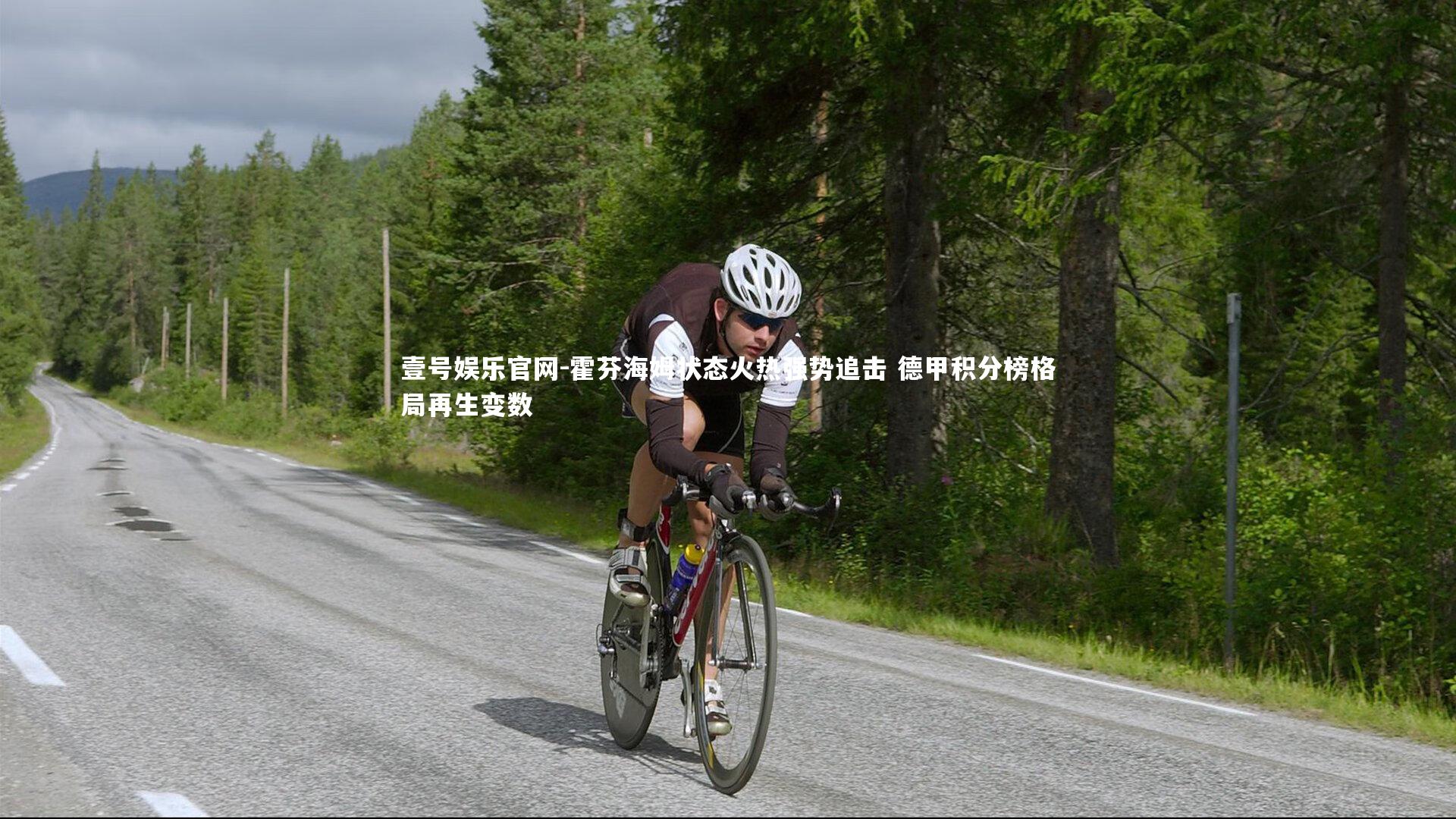 霍芬海姆状态火热强势追击 德甲积分榜格局再生变数